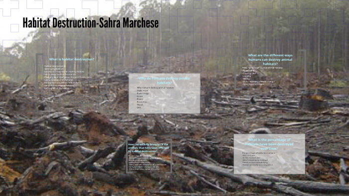 Habitat Destruction-Sahra Marchese by Sahra Marchese on Prezi Next