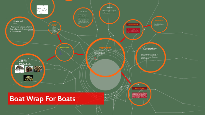 Lake Grapevine Ecosystem by Marcus Lay on Prezi