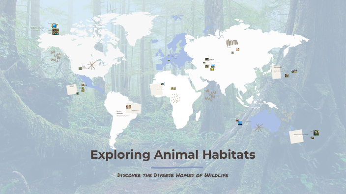 Exploring Animal Habitats By Angela Fritschie On Prezi