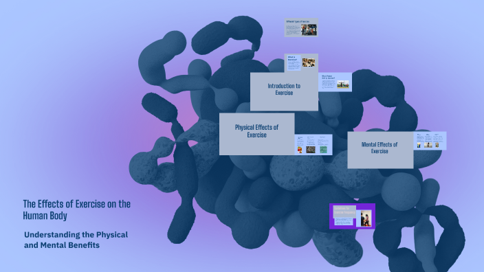 The Effects of Exercise on the Human Body by YASHDEEP SINGH PANNU on Prezi
