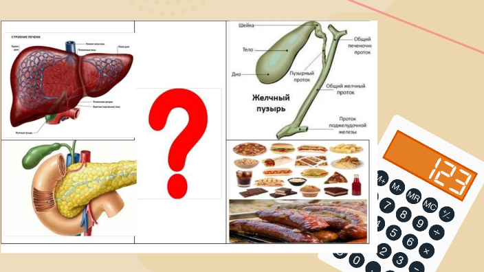 Эмульгация жиров by Нурекешова Камила on Prezi