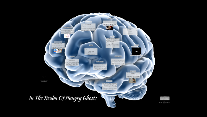In The Realm Of Hungry Ghosts Chapter Summaries