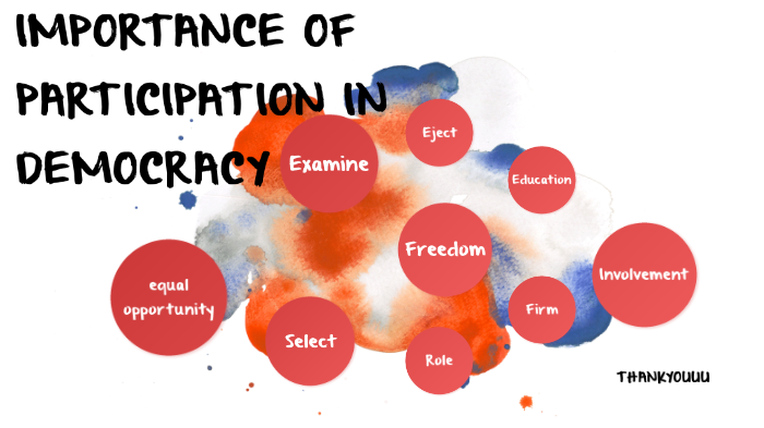 Why Is Participation Important In A Democracy