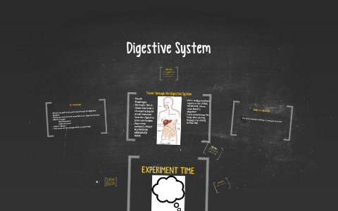 Digestive System by on Prezi