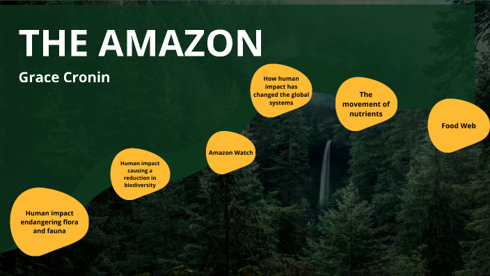 The Amazon Rainforest by Grace C on Prezi
