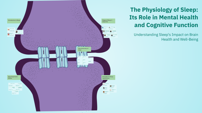 The Physiology of Sleep: Its Role in Mental Health and Cognitive ...