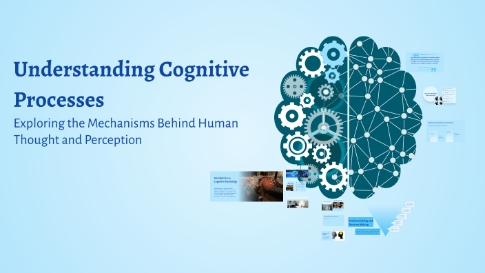 Understanding Cognitive Processes by Ohaebosim Chinaza Anthony on Prezi