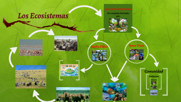Los Ecosistemas by Luis Hernandez on Prezi
