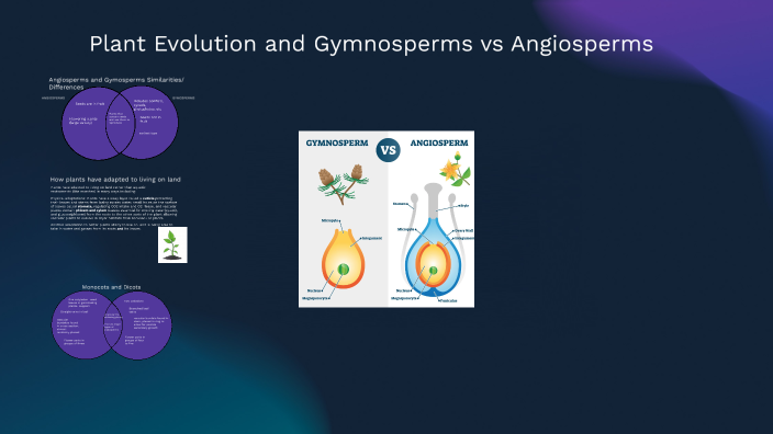 Plant Evolution and Gymnosperms vs Angiosperms by Esther Skogerboe on Prezi