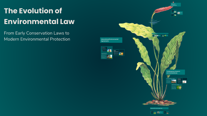 The Evolution of Environmental Law by Vishal Sharma on Prezi