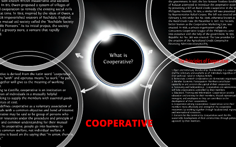 define cooperative principle