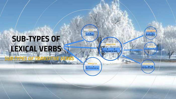 sub-types-of-lexical-verbs-by-nida-ali