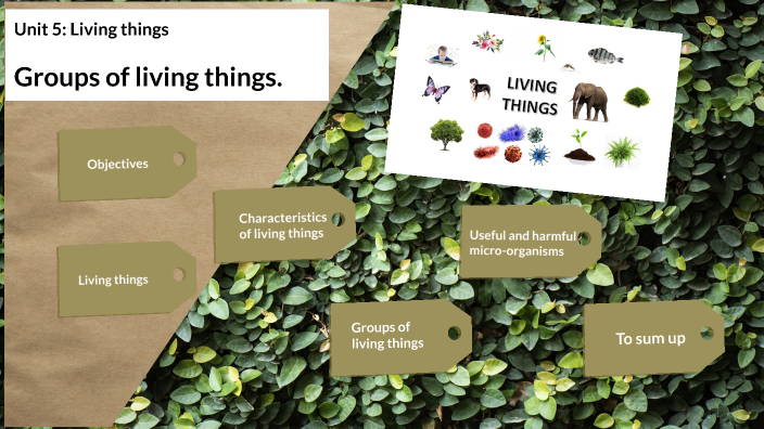 unit-5-living-things-groups-of-living-things-by-marco-guajardo