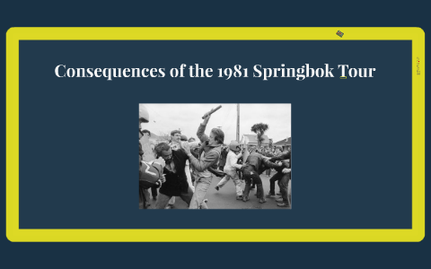 consequences of the springbok tour