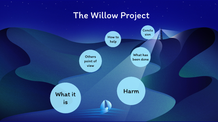 presentation about willow project