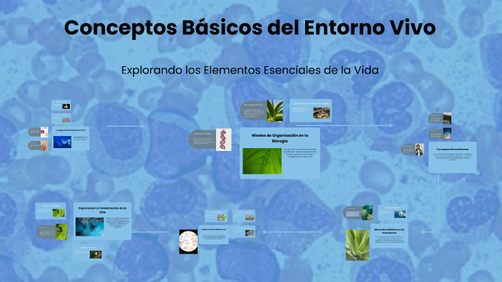 Conceptos Básicos del Entorno Vivo by Claudia Betin on Prezi