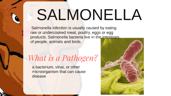 Salmonella by jenny minchala