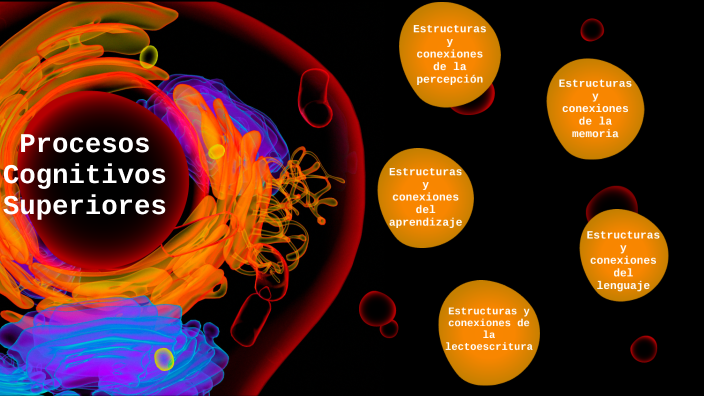 Procesos Cognitivos Superiores By Luis Fabian Patricio Marroquin On Prezi 2295