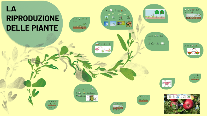 LA RIPRODUZIONE DELLE PIANTE by laura calcamuggi on Prezi