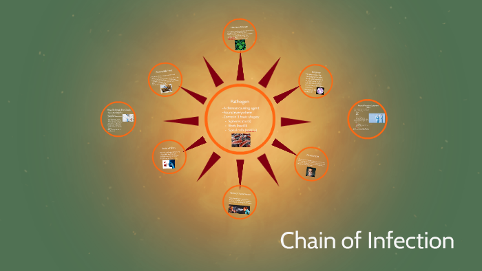 Chain of Infection by ashley bastin on Prezi