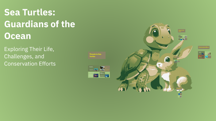 Sea Turtles: Guardians of the Ocean by Jaiden Neely on Prezi