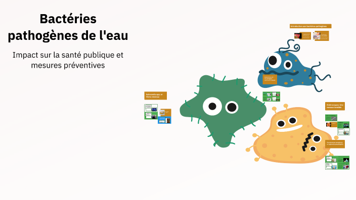 Bactéries pathogènes de l'eau by Rania Chekouri on Prezi
