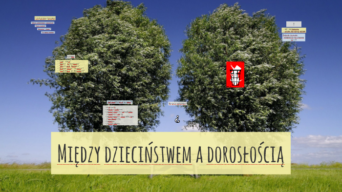 Między Dzieciństwem A Dorosłością Test Klasa 6 prezi.com