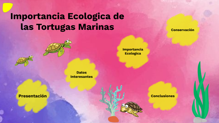 Importancia Ecológica De Las Tortugas Marinas By Genesis Morales