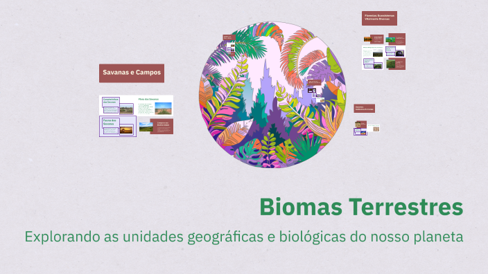 Biomas Terrestres by Célia Helena Uckerman on Prezi