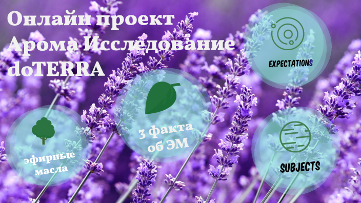 Аромаисследование Заключительная Встреча by Alisa Miloslavskaya on Prezi