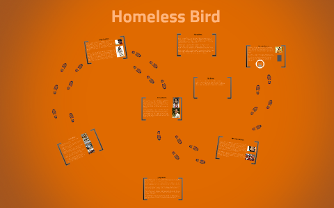 Homeless Bird by abigail crawford on Prezi