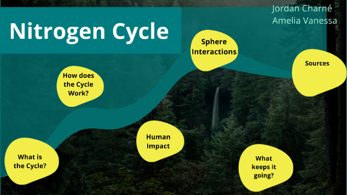 Nitrogen Cycle by Jordan Twining on Prezi