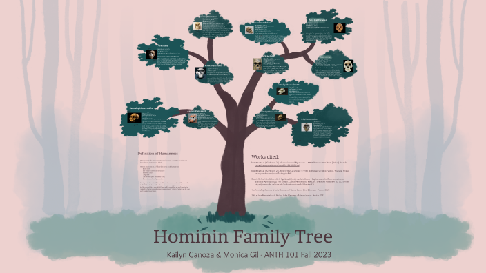 Hominin Family Tree by kailyn canoza on Prezi Next