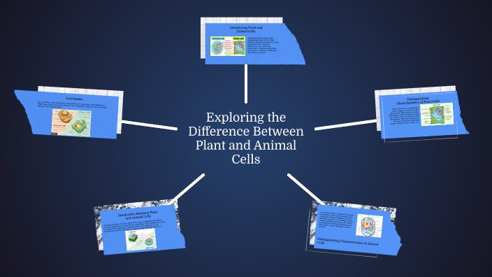 Exploring the Difference Between Plant and Animal Cells by Preston ...