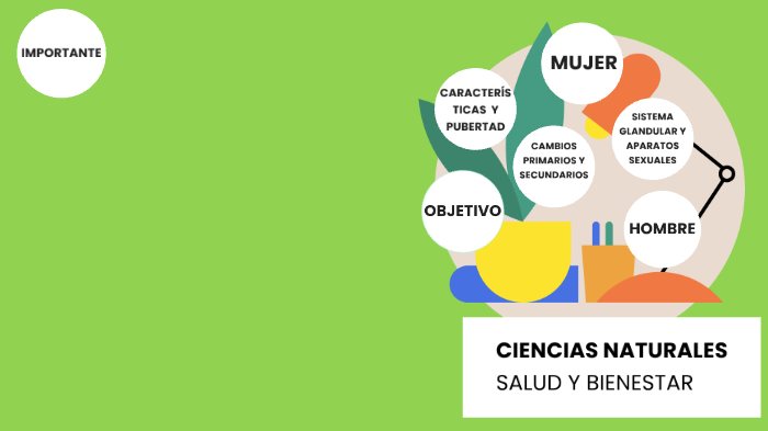 Aparatos Sexuales Y El Sistema Glandular By Mónica Álvarez Villada On Prezi 9721