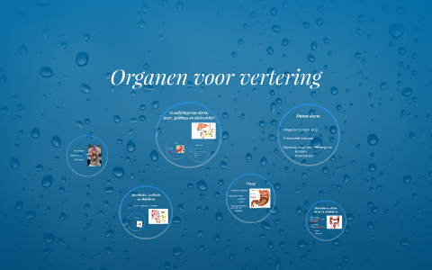 Organen voor vertering by Lars Franzen on Prezi