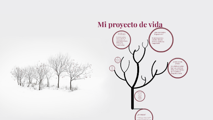 Mi proyecto de vida by Daniela Corredor on Prezi