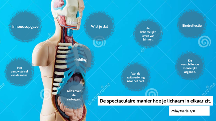 Het menselijk lichaam by Mila M. on Prezi