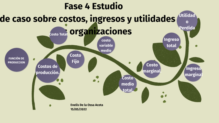Fase 4 Estudio de caso sobre costos, ingresos y utilidades en las ...