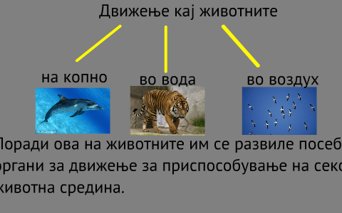 Движење кај животните by Eleonora David on Prezi