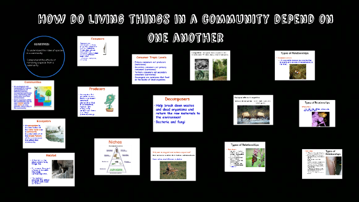 How do living things in a community depend on one another by Isa ...