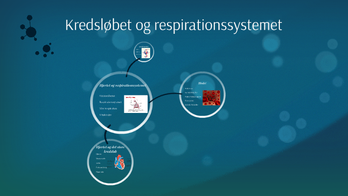 Kredsløb og respirationssystemet by Karl Emil Hartmann