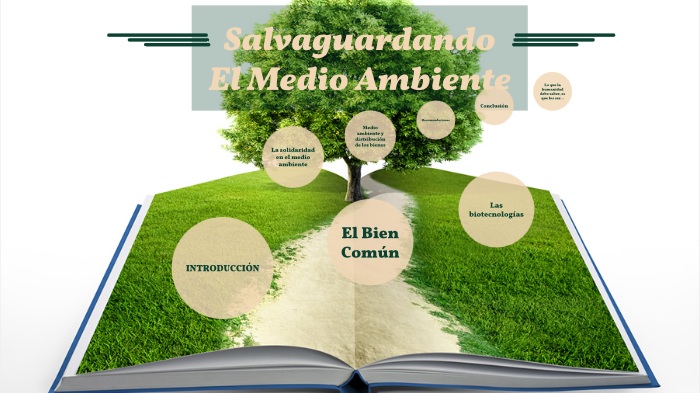 Salvaguardando El Medio Ambiente By Fernanda Ruíz On Prezi