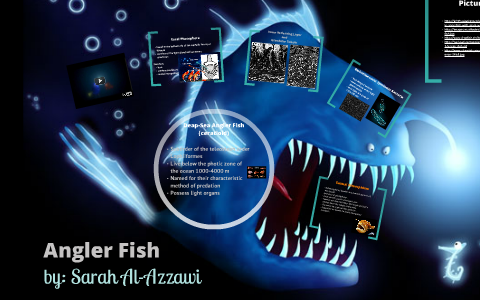 Angler Fish by Sarah Alazzawi on Prezi