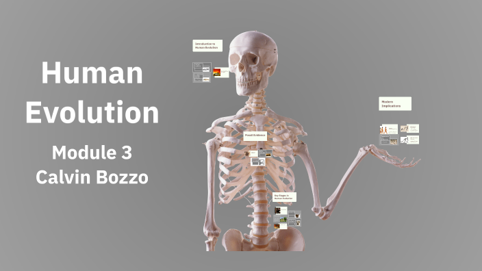 Human Evolution by Calvin Bozzo on Prezi