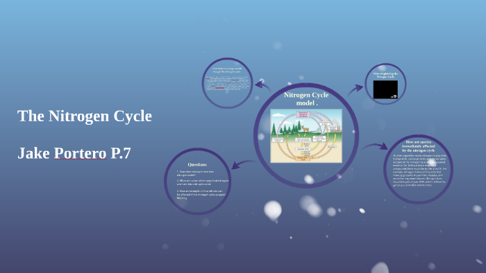 Nitrogen Cycle by Jaki Porter on Prezi