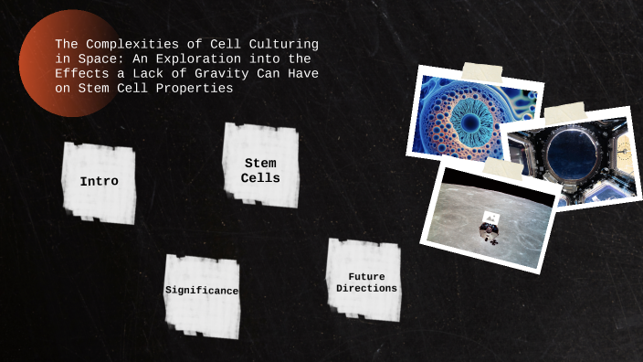 The Complexities of Cell Culturing in Space: An Exploration into the ...