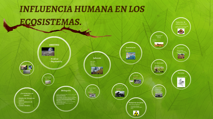 INFLUENCIA HUMANA EN LOS ECOSISTEMAS. by Valeria Henriquez