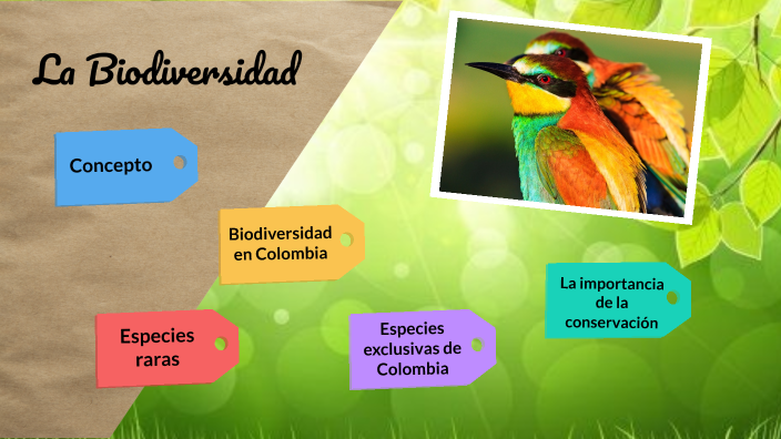 LA BIODIVERSIDAD by ANDRES FELIPE BAYONA on Prezi