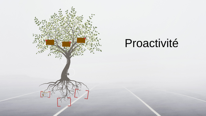 Proactivité by IHSANE BENJELLOUN on Prezi